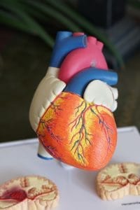 veteran hypertension