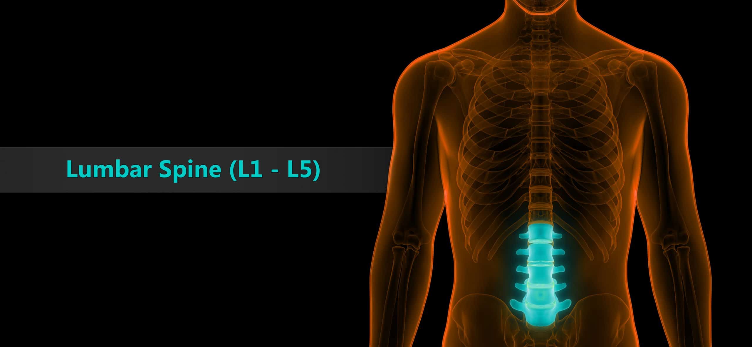Lumbar Spine VA Disability Rating