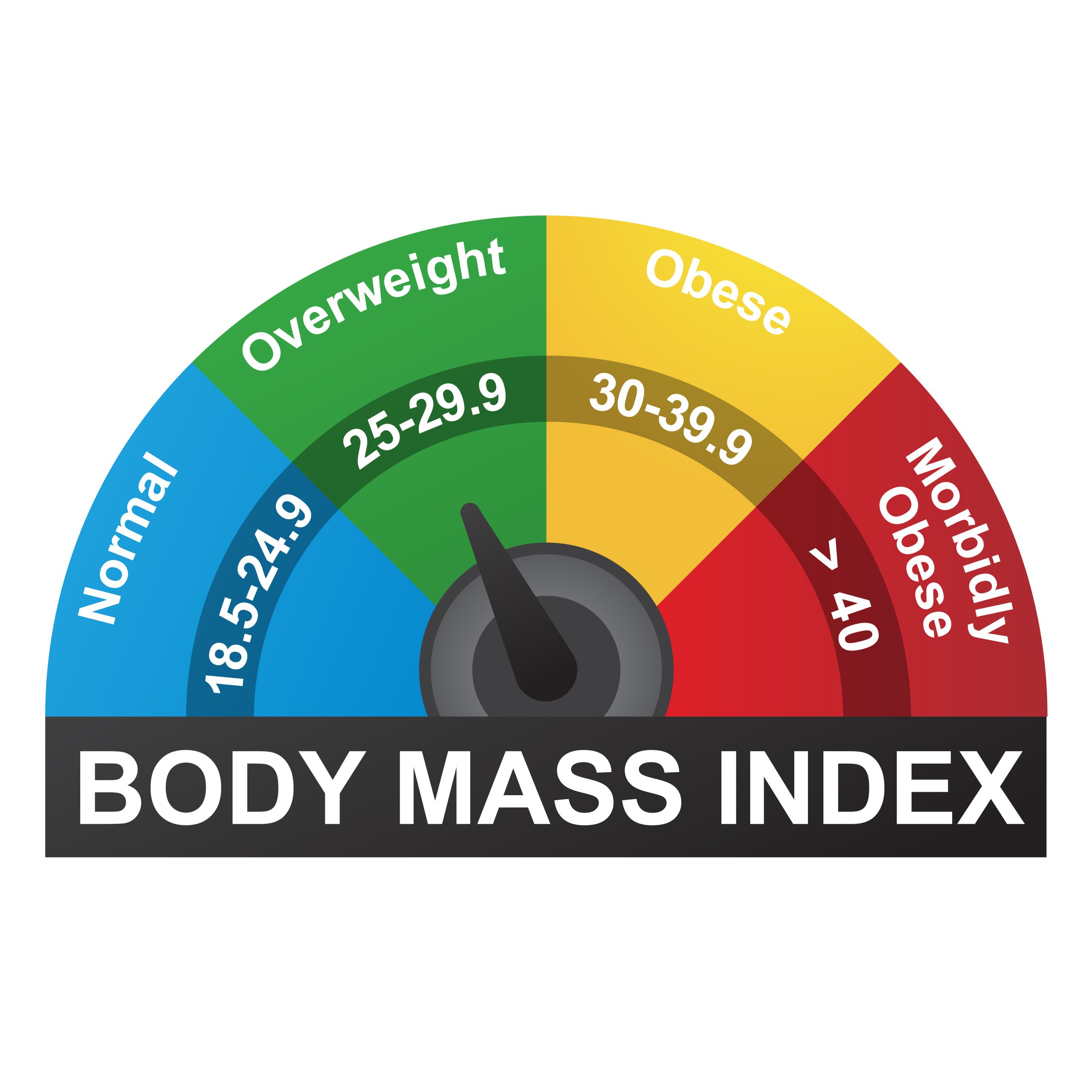 Body Mass Index Obesity scaled