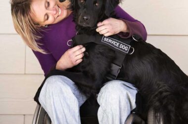 Organizations That Help With VA Service Dogs