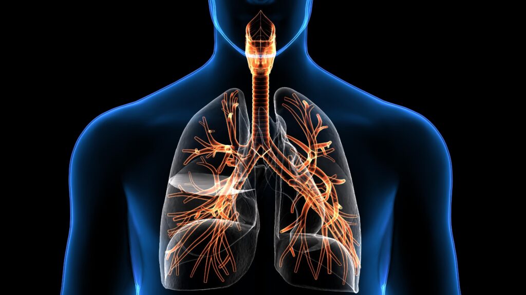 VA disability for the respiratory system