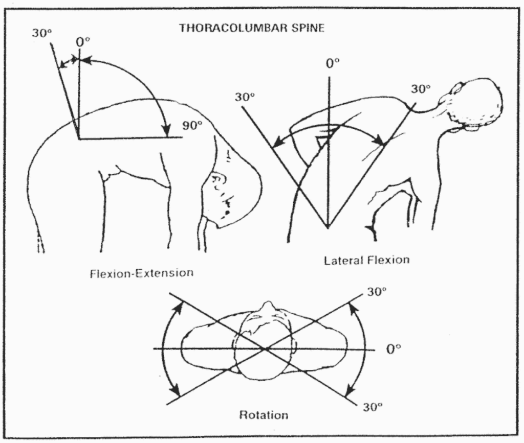 Thoracolumbar Spine Range of Motion Test 