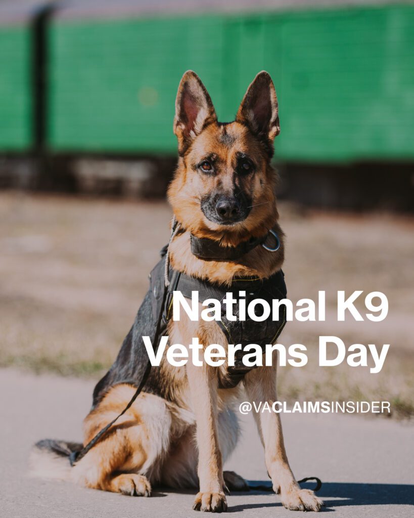 National K9 Veterans Day