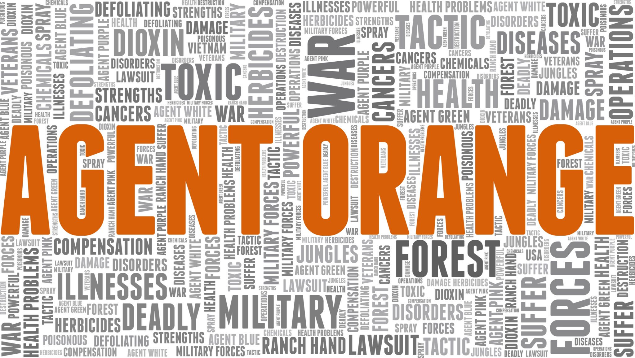 The Official Agent Orange Presumptive List Top 40+ Conditions and