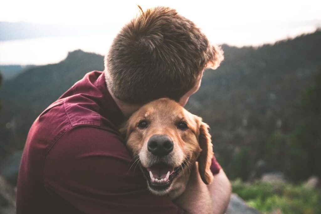 VETERAN SUPPORT DOG