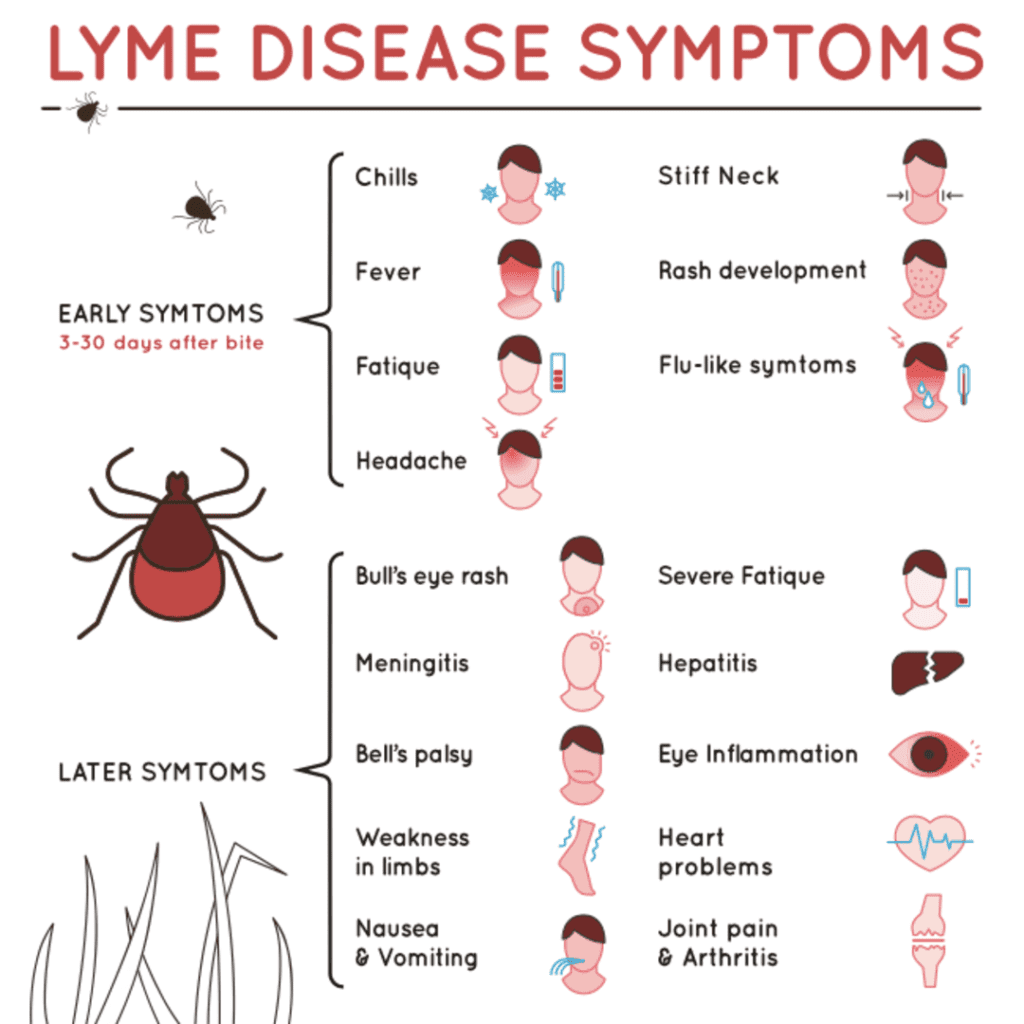 VA CLAIM FOR LYME DISEASE