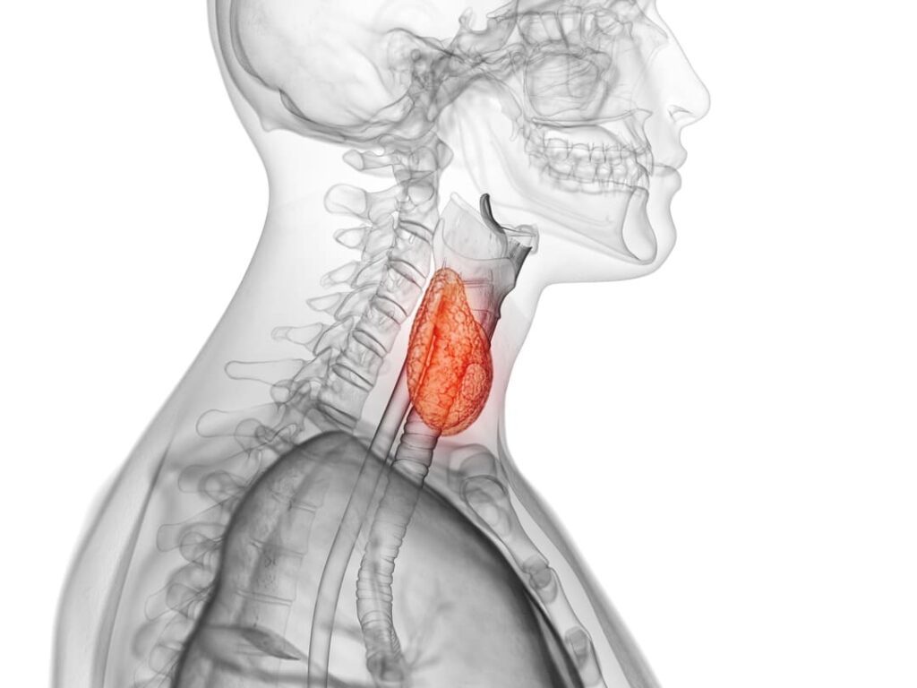 100 VA DISABILITY FOR HYPOTHYROIDISM