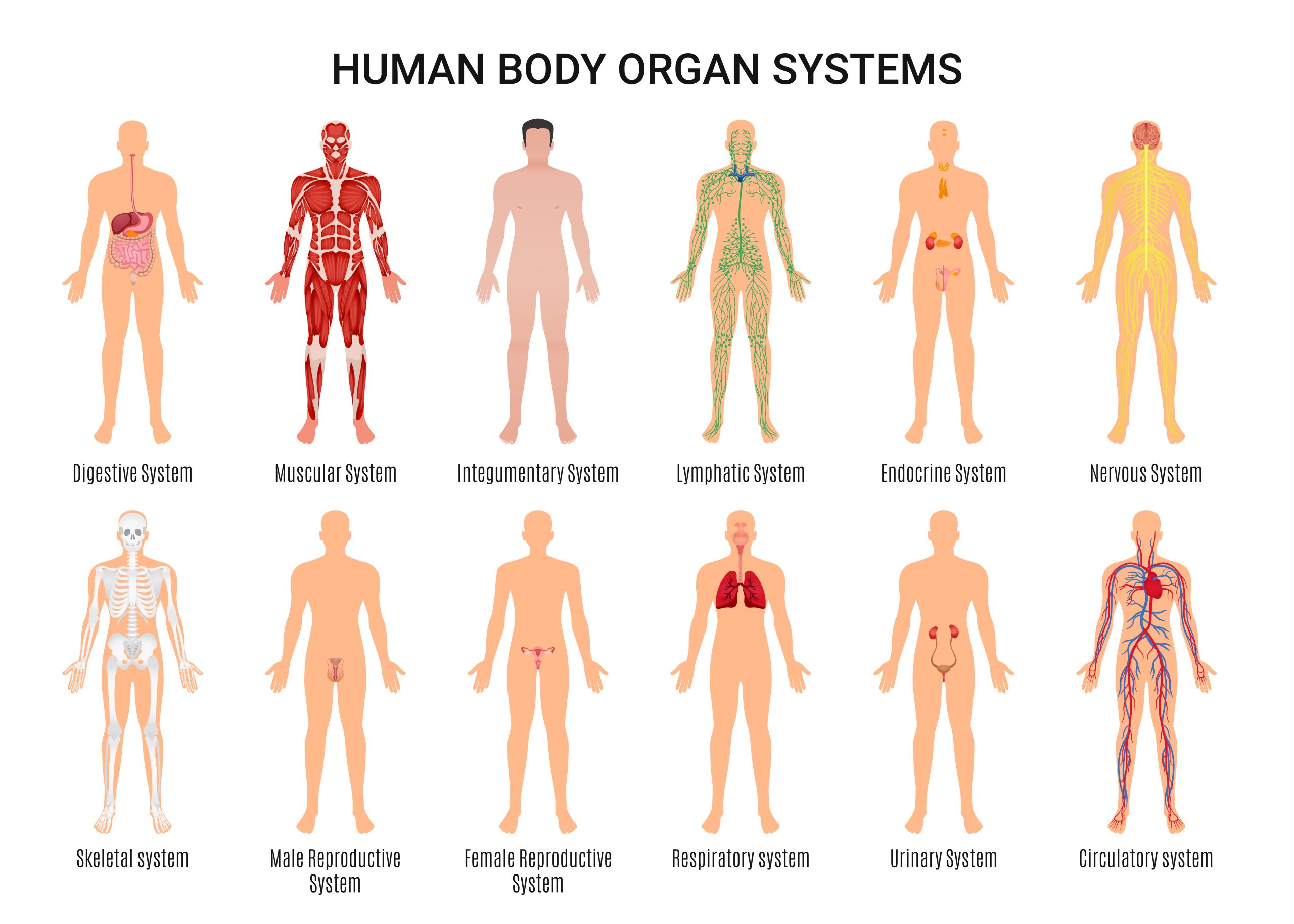 VA proposes updates to disability rating schedules for respiratory,  auditory and mental disorders body systems - VA News