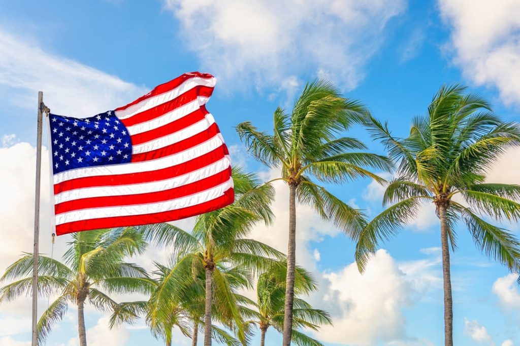 AMERICAN FLAG FLYING WITH PALM TREES