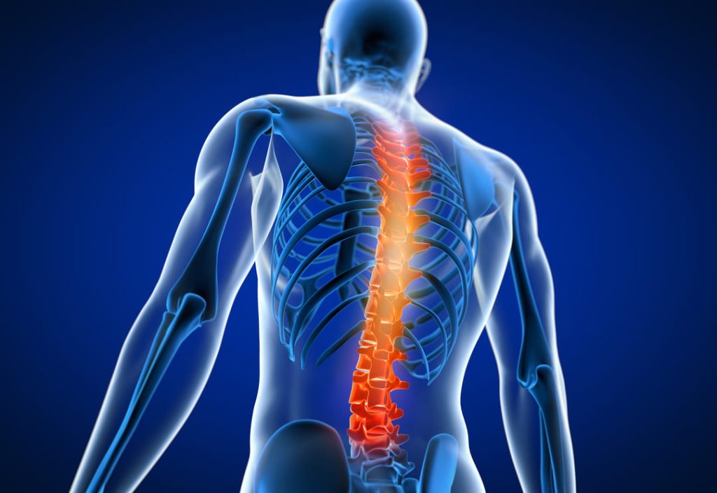 image of spine and vertebrae