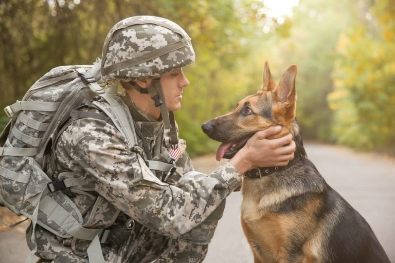 can-reservists-get-va-disability