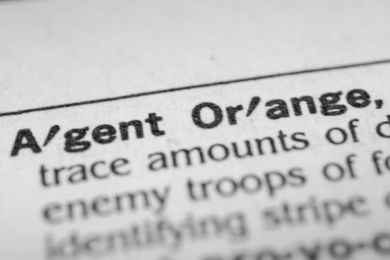 2nd generation agent orange symptoms