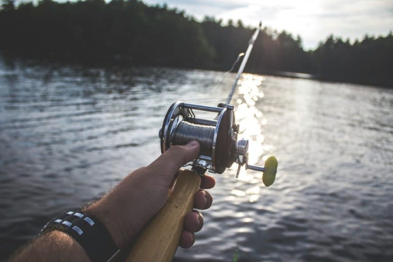 Non-Resident Disabled Veteran Fishing License by State