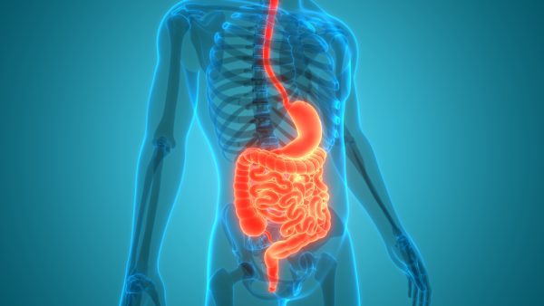VA Disability Rating for Digestive System Conditions